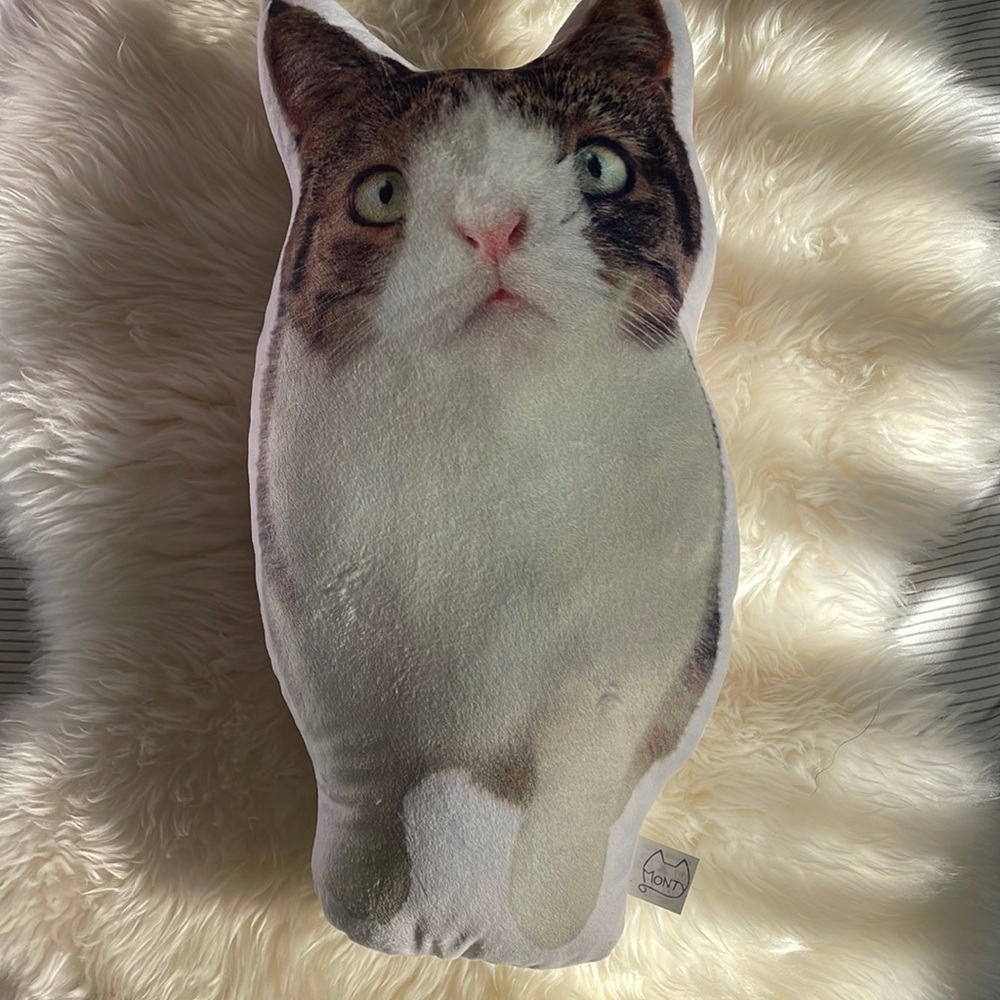 Cute cat decor accents pillow